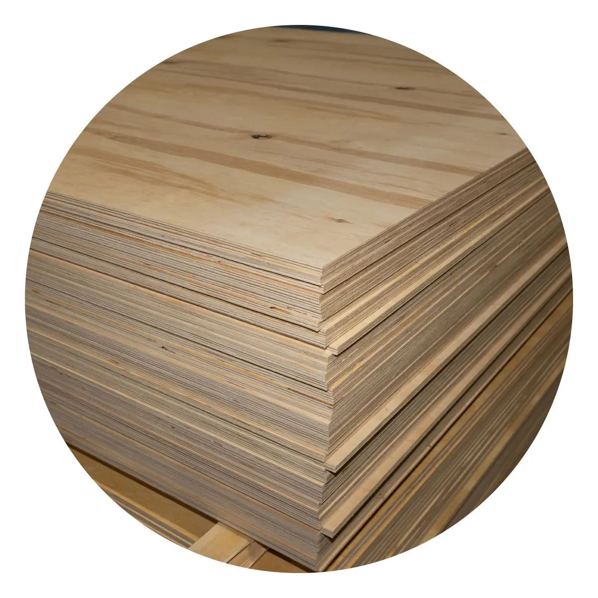 Plywood for packing Grade C/C