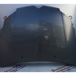 CAPÓ DELANTERO CITROEN C5 Break 2ª Serie 7901L4 (04>08) - Product Image 1