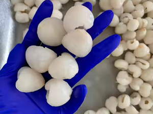 Litchi congelé Exportateur du Vietnam Litchi pelé IQF Qualité supérieure prêt pour usage culinaire et au détail - Product Image 5