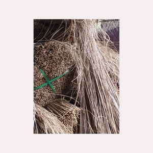 Palos de escoba de coco naturales de Vietnam para barrer hojas y suelo húmedo, hojas de escoba versátiles para exteriores/suciedad en jardines/patios - Product Image 5