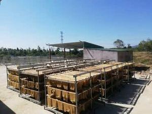 วัตถุดิบยางธรรมชาติ RSS 5ผลิตจากเวียดนาม - Product Image 5