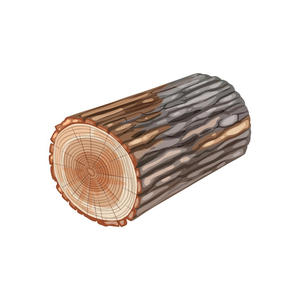 Unfinished <b>Wood</b> <b>Logs</b> Perfect for Woodworking and DIY Projects - Product Image 2