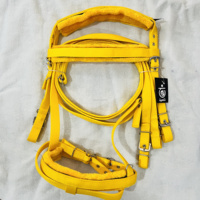 Bridon pour cheval de conception optimale en PP avec rembourrage et bande de nez rembourrée en fourrure, rênes assorties, haute qualité, durable et résistant aux UV