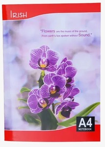 Libreta Ejecutiva Irlandesa A4 con Páginas de Escritura Suave, Disponible para la Venta - Product Image 4
