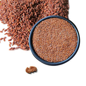 Cress | สมุนไพรทำอาหารออร์แกนิกสำหรับสินค้าส่งออกระดับพรีเมียม - Product Image 4