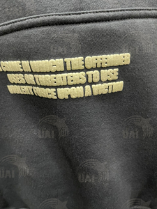 Sweat à capuche d'hiver 2025 de haute qualité, imprimé 3D en relief, en molleton 100 % coton épais, coupe classique pour homme - Product Image 3