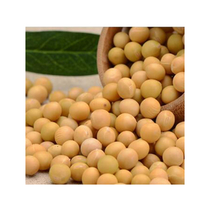 Soja à haute teneur en protéines/Soja non OGM du Brésil/Soja à haute teneur en protéines brutes pour l'exportation - Product Image 5