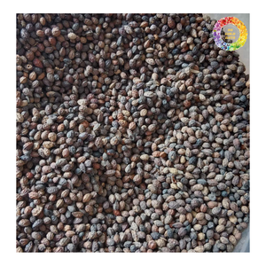 Graines de papaye pour le thé, graines de papaye Carica séchées nettoyées | Herbes de graines de Papita séchées | Poudre de graines de papaye séchée naturelle en vrac - Product Image 3