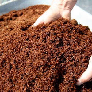 Cocopeat สำหรับป้องกันการกัดเซาะ Cocopeat สำหรับอุตสาหกรรมการเกษตรผลิตภัณฑ์ Cocopeat จากตลาดเวียดนามวันหยุด - Product Image 3