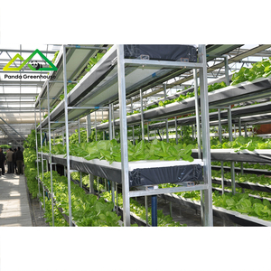 Commercieel hydroponisch systeem & kaskit voor de teelt van groenten en bloemen met een hoge opbrengst - Product Image 1