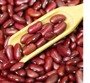 Frijoles Rojos de Calidad con Color Rojo Natural, Alto Contenido de Fibra, 60% de Proteína, Empaque a Granel Seco - Product Image 1
