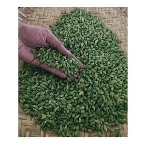 กระวานใบเขียวธรรมชาติเครื่องเทศสดและแห้ง - Product Image 6