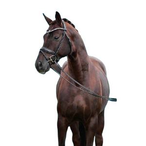 Brida de caballo real Brida de caballo redonda Caballo ecuestre Equipo de caballo Brida de caballo al por mayor - Product Image 1