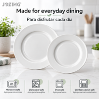 Assiettes rondes en céramique blanche en gros, en stock, avec larges rebords, pour la maison et les restaurants