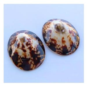 Concha de Lapa a granel, concha marina, conchas marinas para amamantar, exportador de Vietnam, conchas decorativas naturales para manualidades y joyería - Product Image 1