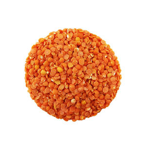 Lentilles rouges de qualité supérieure fraîches - Teneur nutritive élevée, distribution en vrac pour la revente au détail - Product Image 5