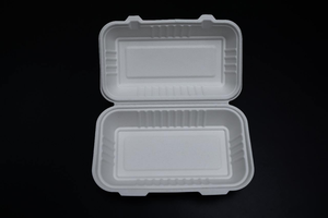 Boîte à lunch en bagasse jetable facile 9x6 à clapet compostable biodégradable écologique micro-ondable recyclable - Product Image 6