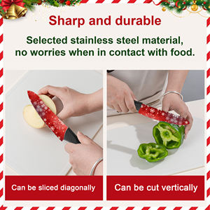 Cuchillo de Chef con Hoja de Cerámica y Mango de Plástico para Cocina Casera, Venta al por Mayor de Fábrica, en Existencia, Artesanía Hecha a Mano, Envío Gratis - Product Image 3