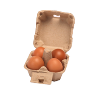 <strong>Best</strong> <strong>Selling</strong> Brown Dozen <strong>Eggs</strong> Box With Bio Degradable Molded Paper Pulp Manufacturer Cheap Price <strong>Egg</strong> Tray Made in Viet Nam