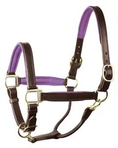 Leather Halter Rolled throat latch has a quick snap with brass hardware colour Purple Padded noseband and crown with Color Trim