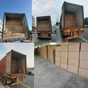 Custom Logo Body <b>Cartoon</b> Autumn Cotton Sports <b>Socks</b> Premium Breathable Athletic Dress Lightweight Eco-Friendly Sweat-Absorbent - Product Image 2