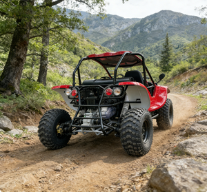 UTV Todoterreno Rojo 4x4 de 250cc+ con Motor de 4 Tiempos, Transmisión Manual, Alta Distancia al Suelo, LNA, Listo para Dunas, 300cc, Certificado EEC, para Carreras - Product Image 5