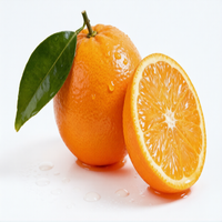 Oranges, Tangerines et Mandarines Fraîches à Prix Abordable en Vente |   Citrus de qualité supérieure à bas prix