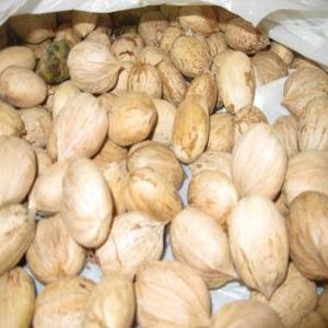Suministro al por Mayor de Nueces de Nogal Americano 100% Naturales y Saludables, Deliciosas Nueces Secas Sin OMG, Envasadas al Vacío a Granel para la Venta - Product Image 1