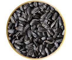 Graines de tournesol brutes de haute qualité en gros, de qualité supérieure, séchées, en sacs tissés en PP de 25/50 kg, durée de conservation de 24 mois, pour les collations - Product Image 2