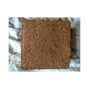 Tourbe de coco écologique pour le jardinage et l'agriculture Fournisseur de gros au prix direct d'usine - Product Image 6