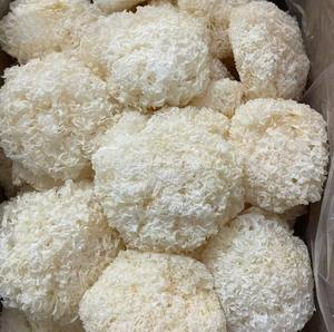Champignon de neige séché au Vietnam de qualité supérieure Tremella déshydratée naturelle pour les boissons à base de soupe sucrée et la production de desserts - Product Image 2