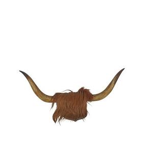 Última Novedad: Par de Cuernos de Búfalo Ecológicos para Artesanía, Cuernos Naturales de Búfalo, Cuernos Largos de Vaca para Decoración de Paredes al Mejor Precio - Product Image 1