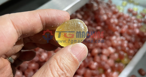 Machine automatique de fabrication de bonbons durs à la sucette, machine de dépôt de bonbons, machine de formage de bonbons - Product Image 6