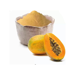 Herbojit International, Polvo de Fruta de Papaya Seca por Aspersión, Orgánico, de Grado Alimenticio, Natural, de Súper Calidad, Amarillo, al Mejor Precio, Aditivos - Product Image 5
