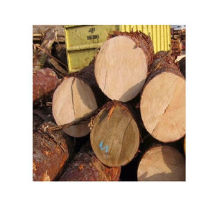 Troncos de Madera de Pino Premium con Diámetro de 25-40 cm para Máximo Rendimiento en Construcción y Procesamiento de Madera al por Mayor - Product Image 6