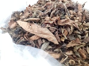 หญ้าเจลลี่ใบไม้/ผงหญ้าเจลลี่-หญ้าสีดำเจลลี่ใบหญ้าดิบจำนวนมากสำหรับการส่งออกจาก99GD - Product Image 5