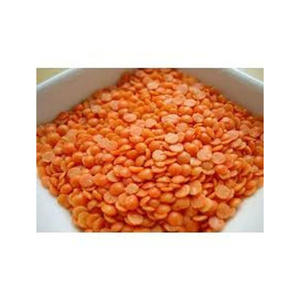 Lentejas rojas de primera calidad para exportación, suministro al por mayor, envío de masoor dal - Product Image 5