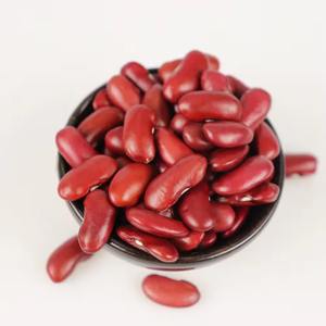 Technologie de pointe Haricots rouges transformés répondant aux normes internationales de qualité des aliments - Product Image 4