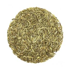 100% graines de fenouil frais crus purs-qualité d'exportation emballage personnalisé indien meilleure qualité fournisseur en gros - Product Image 5