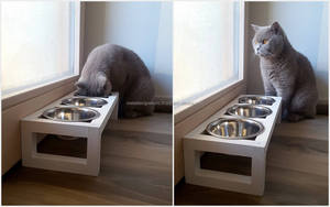 Stainless Steel & Wood <b>Raised</b> Non-Automatic <b>Pet</b> Feeder for Dogs-Rectangular Design for Outdoor/Travel/Indoor Use - Product Image 5