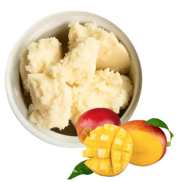 Vente en gros de beurre de mangue cosmétique de haute qualité Produit de soin naturel pour la peau exporté d'Inde de très bonne qualité