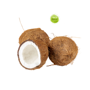 มะพร้าวอบแห้งมะพร้าวธรรมชาติจากเวียดนาม - Product Image 3