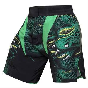 2024 Top vente de haute qualité confortable MMA Shorts pour l'entraînement sport porter des shorts unisexes avec Logo personnalisé RRI-MS-02 - Product Image 3