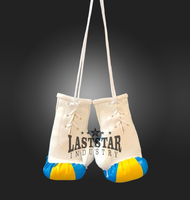 Venta al por mayor OEM personalizado Mini guantes de boxeo con diseño de Bandera de País PU cuero coche colgante llavero compras Bosnia Grecia Chile