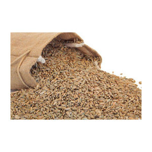 Grains de seigle en gros approvisionnement en vrac avec qualité d'exportation internationale - Product Image 3