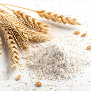 ผงใยข้าวสาลีคุณภาพพรีเมียม ได้รับการรับรองมาตรฐาน ISO 9001 บรรจุภัณฑ์ถุง 25 กก. คลังสินค้าในสหภาพยุโรป วัตถุเจือปนอาหาร - Product Image 1