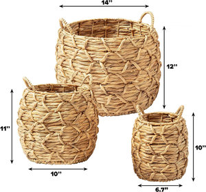 Viet Fargimex Vente en gros Jardinière en jacinthe d'eau Pot de plante biodégradable écologique pour le jardinage intérieur élégant - Product Image 6