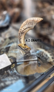 Venta al por mayor Kosher Shofar Cuerno de carnero grande Instrumento musical Pulido natural Utilizado para fines religiosos judíos - Product Image 3