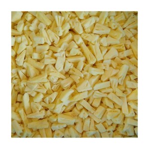 Tranches de morceaux ronds de tapioca biologique exportés d'ananas IQF congelés au goût sucré emballés sous vide dans un emballage en vrac à motif de boule - Product Image 1