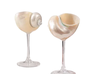 Verres à cocktail en coquillages exotiques faits à la main: vente en gros de gobelets en coquillages pour restaurants et bars sur le thème de l'océan - Product Image 5